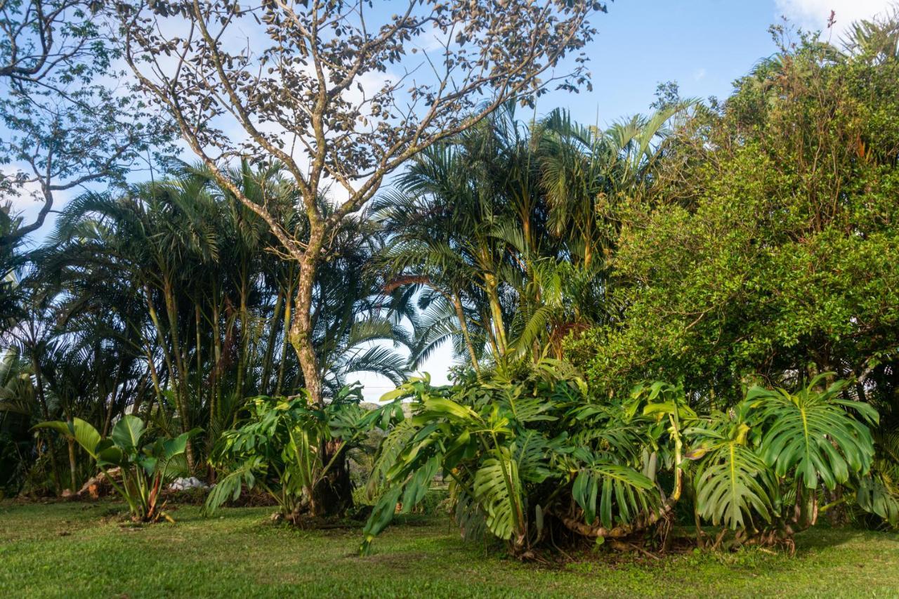 Vista Lago Arenal Piedras Экстерьер фото