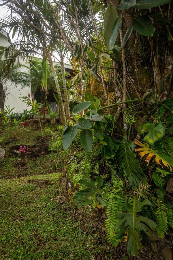 Vista Lago Arenal Piedras Экстерьер фото